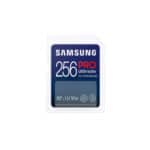 256GB SD Card
