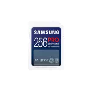 256GB SD Card