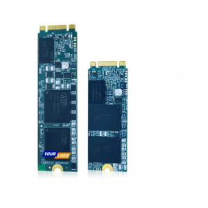 Best Custom SATA M.2 SSD Nvme 256GB To 512GB 2TB