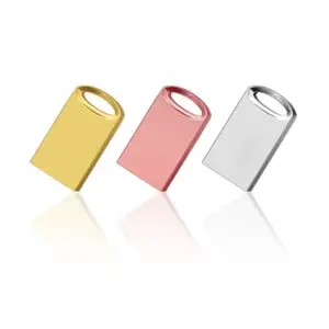 USB Flash Disk Pendrive OEM Logo