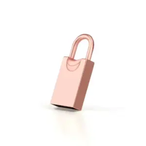 Hot Sale Customized Lock Type USB
