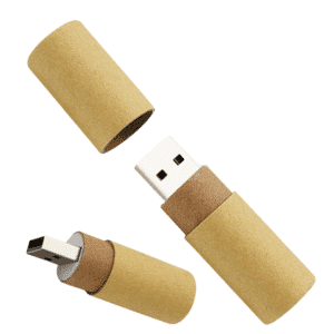Flash Drive Degradable Recyclable & Biodegradable Wood Card USB