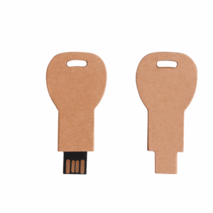 Friendly Recycled Paper Boxes USB